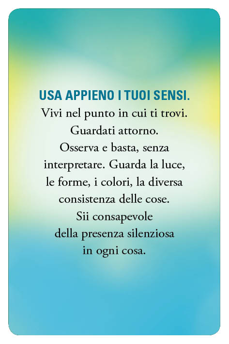 fronte