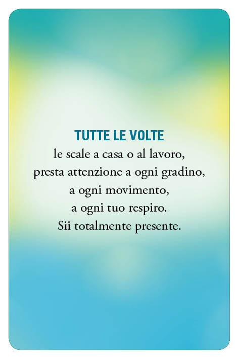 fronte